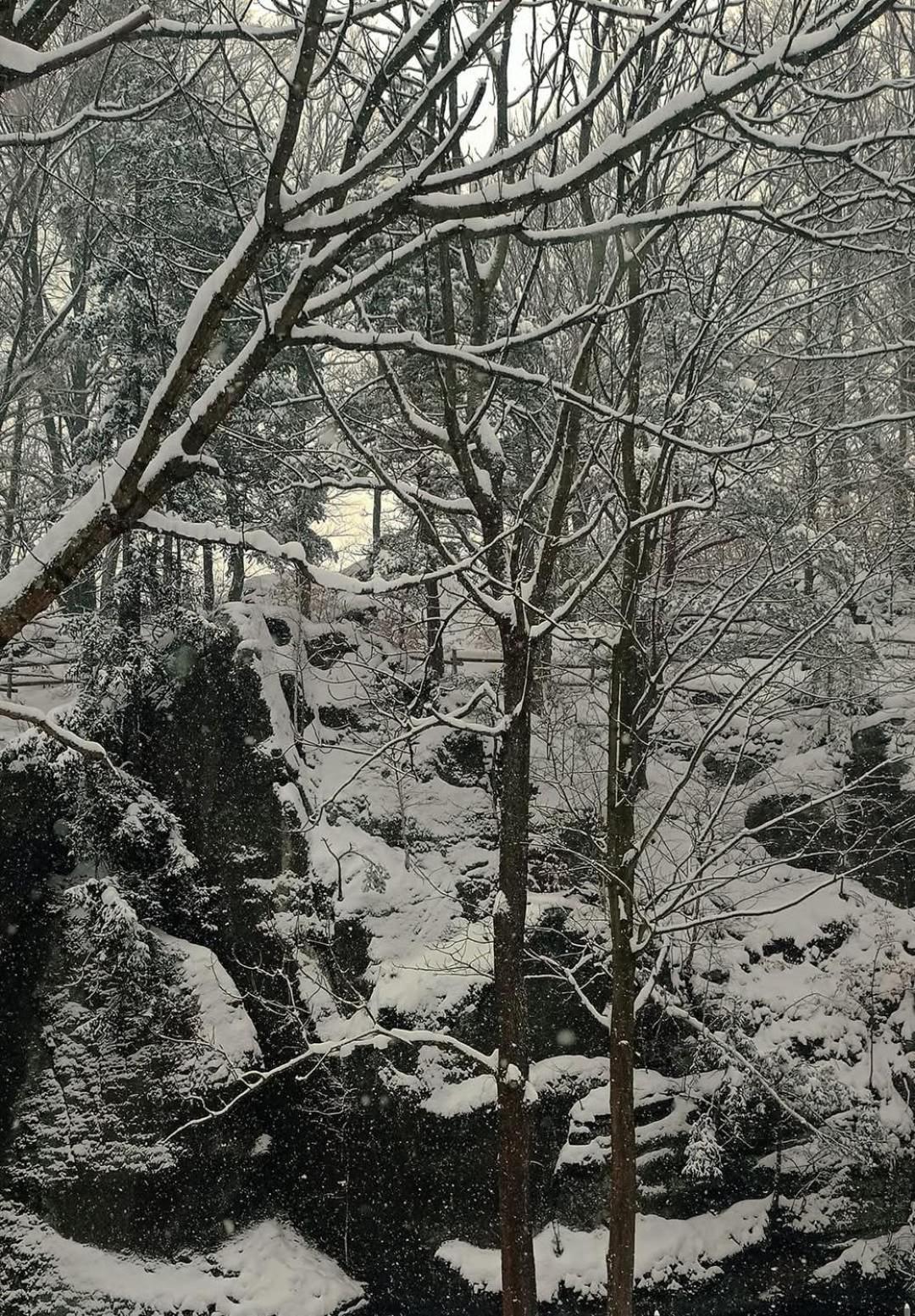 Domek Przy Rozpadlisku Podgorzyn Bagian luar foto